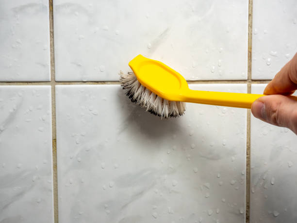 Best Certified Mold Removal  in Seminole, FL